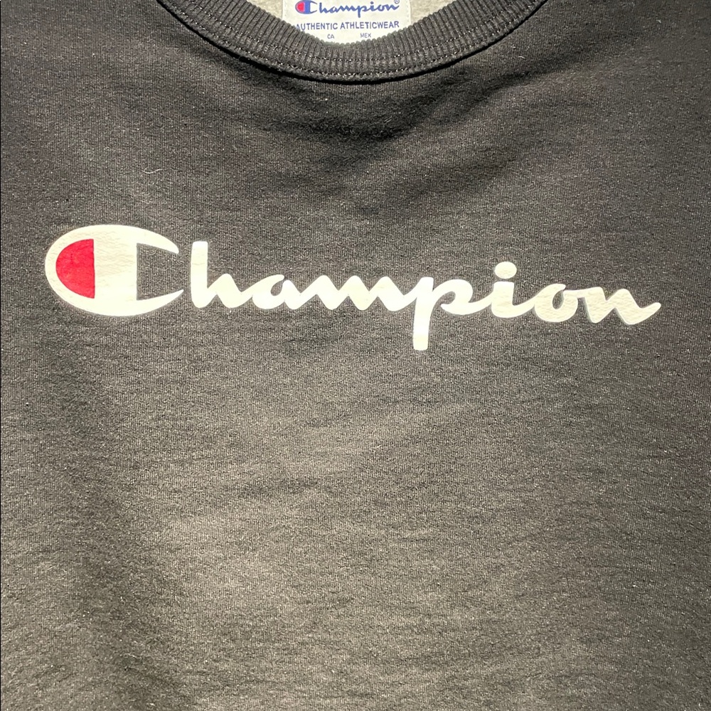 Champion Crewneck Sweatshirt
Men’s Medium — Black - Picture 4 of 5